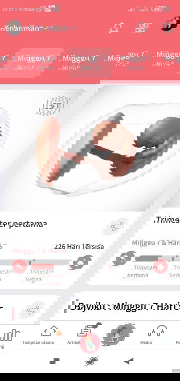 USG kapan dilakukan?