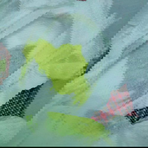 Poop ni baby(2 weeks old)