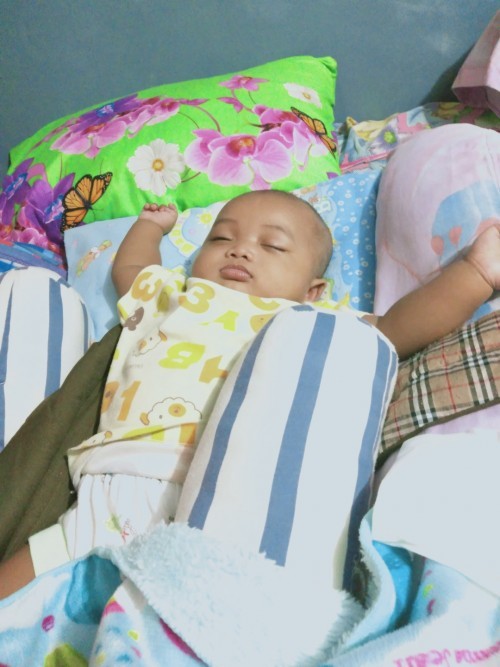 Pup anak umur 4 bulan