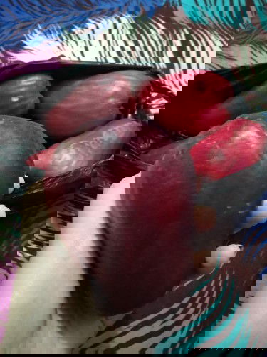 Jambu Darsono dimanakah kau berada 😅