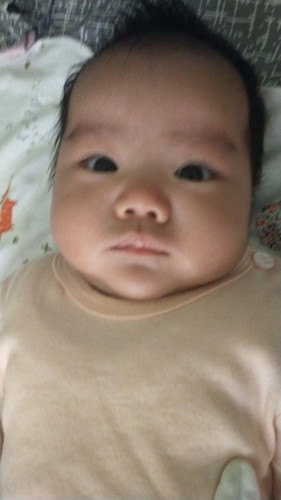 2bulan 7kg