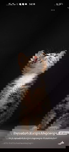 pada Trimester pertama kaki suka sakit gak apa apa ya bun tangan tulang seperti sakit buat jalan gtu