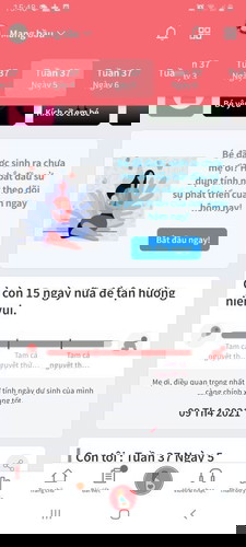 Nôn gặp trâu vàng quá 🥰 .
Có mom nào cùng ngày dự sanh hông ta 😁