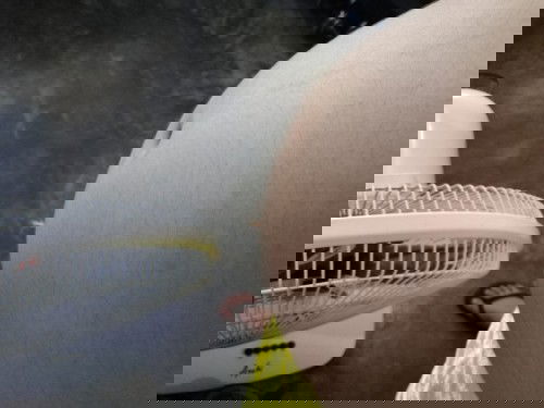 Hi mga mommy ano sa tingin nyo girl or boy
18 weeks first time mom here