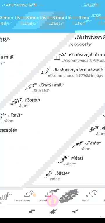 Susu formula (Baby 3 bulan)