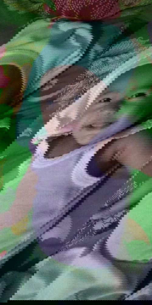 Setiap hari nya ada aja hal² yang lucu