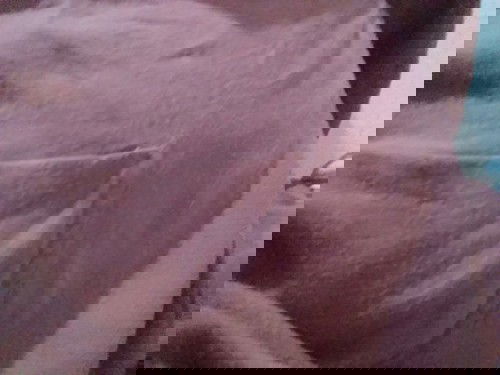 gerakan bayi diperut