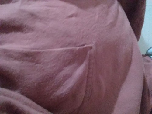 gerakan bayi diperut