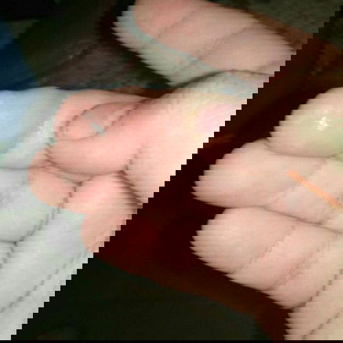 Minta sarannya donk bun🙏🙏🙏🙏