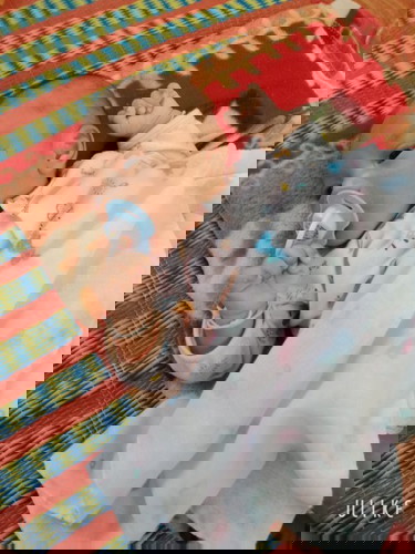 ดวงใจน้อยๆของแม่