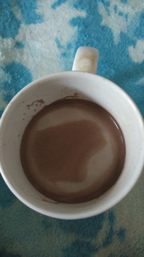 Mengawali Hari dengan Susu Hamil