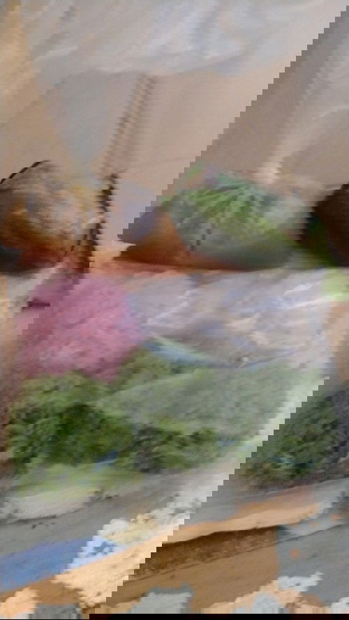 Mual trisemester pertama