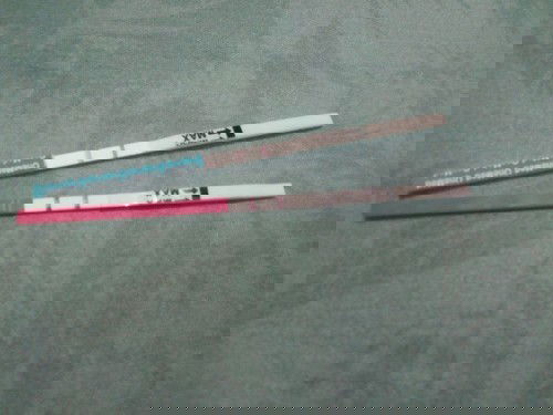 Garis dua pasca kegugurn