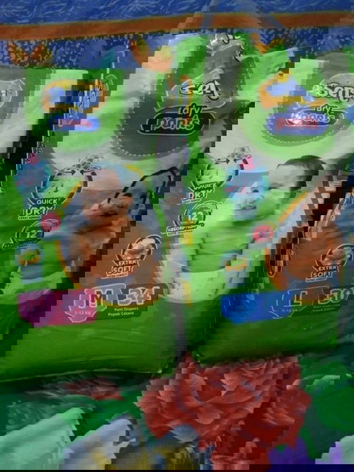 (CLOSED) Berbagi Diapers