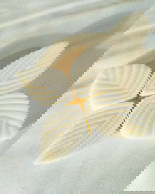 Membuat Sabun Cuci sendiri