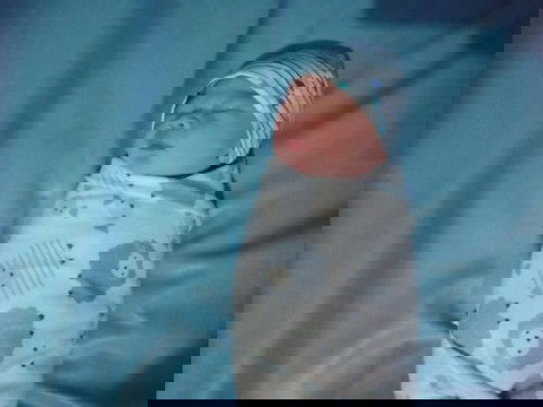 Assalamualaikum world ❤️❤️❤️