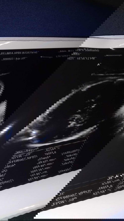 sharing hpl mei 2021 bund