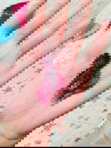 ใช่หรือไม่ใครรู้ช่วยตอบหน่อยค่ะ😢