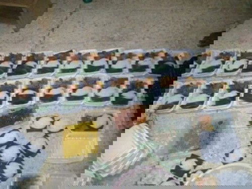 Maaf melenceng ya bunda bunda