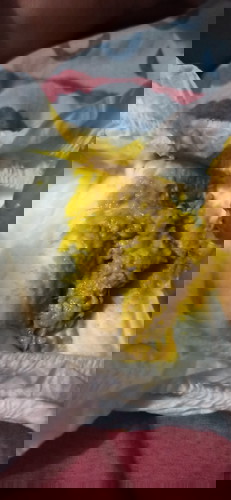 #poop #fever #lagnat