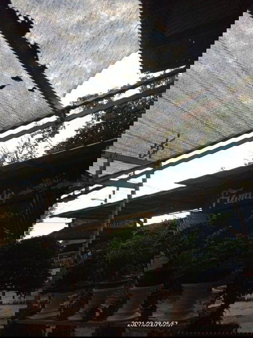 Olahraga trimester pertama