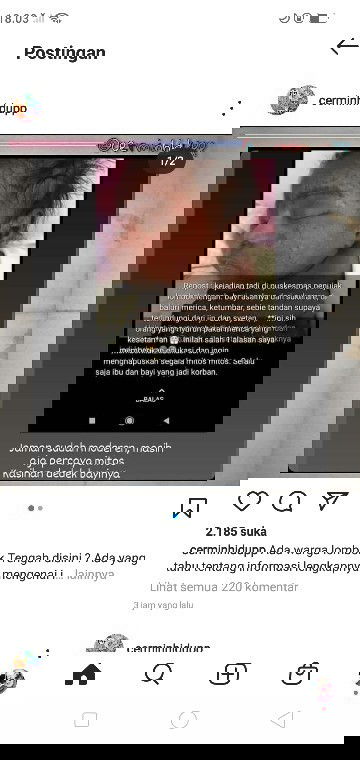 Bayi di balurin merica