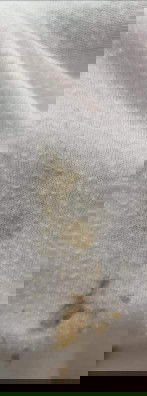 6weeks and 1d pregnant