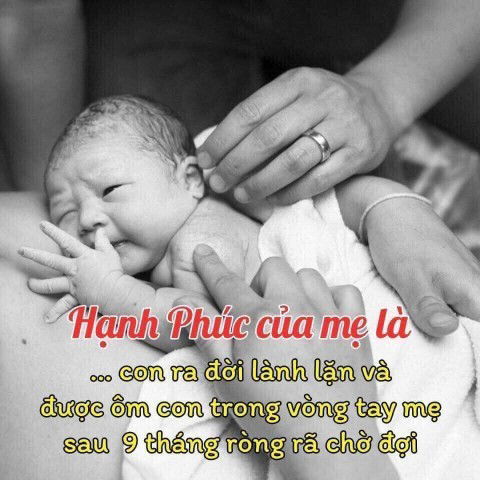 Nghé con của mẹ