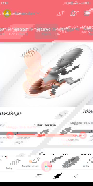 Belum ada tanda" Dari si utun