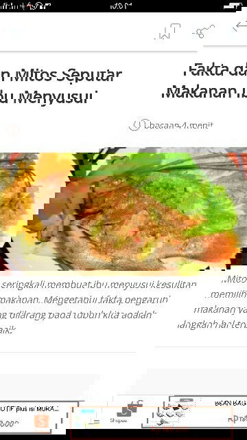 FAKTA DAN MITOS SEPUTAR MAKANAN IBU MENYUSUI