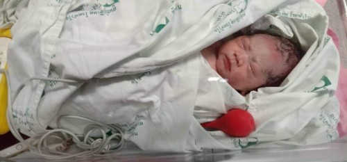 คลอดแล้วจ้า