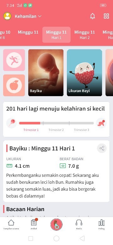 Sedang hamil