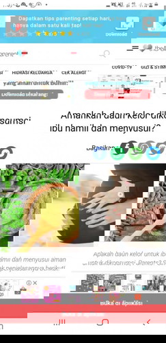 Amankah daun kelor dikonsumsi ibu hamil dan menyusui?