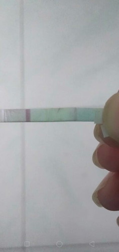 hasil test pack 2 garis berjauhan