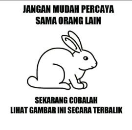 Ikut Arisan?