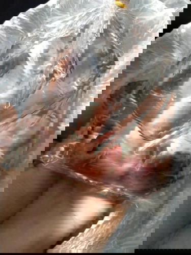 น้องเข้าไม่อยู่กับเราแล้วคับ😭😭😭