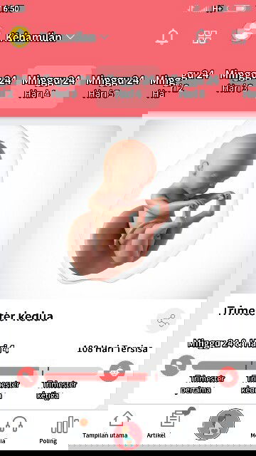 Usia segini gerakan ya msih lembut blm ada yg bonjol" apakah wajar ya bun usia kehamilan brp minggu