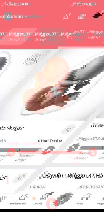 Sakit di area miss v