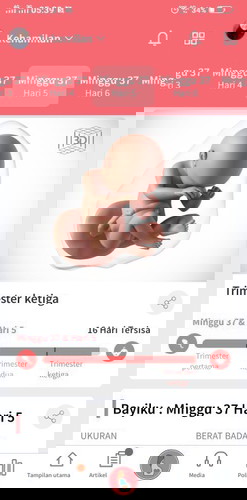 Sakit di area miss v