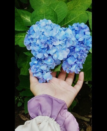 Usia kehamilan 25w3d