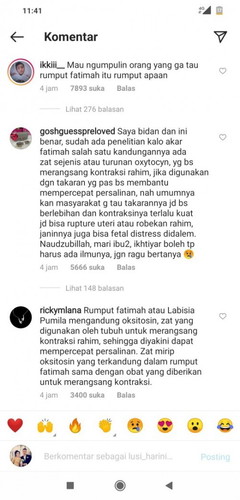 Info terkait rumput fatimah