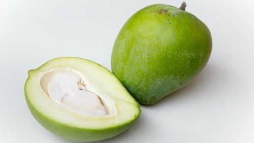 Ngidam Mangga Muda