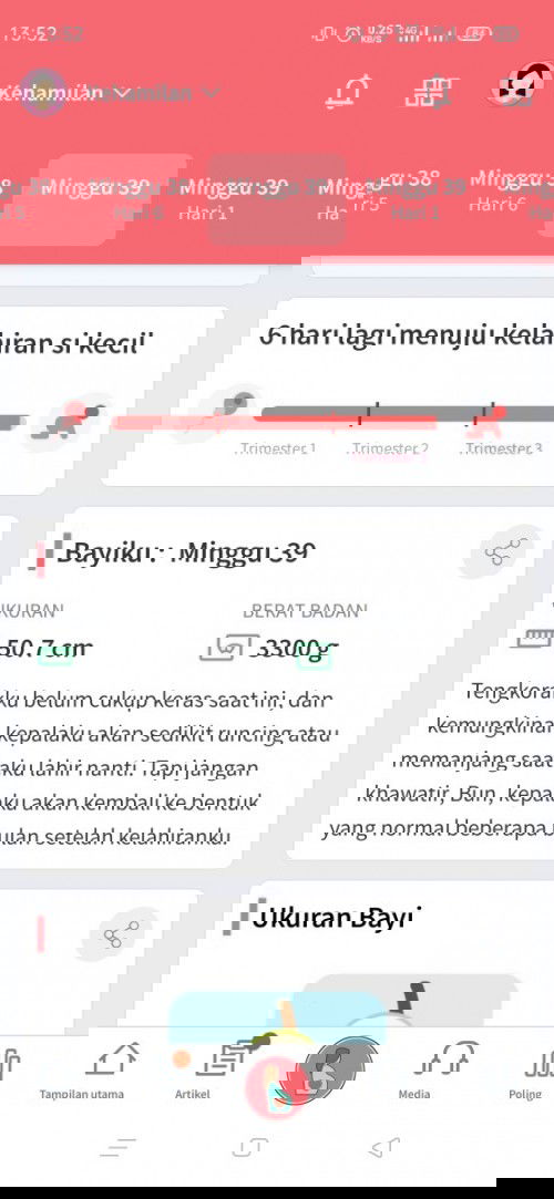 Menunggu kelahiran si kecil
