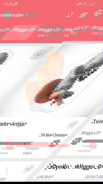 Mohon doanyah smoga lancarr smpai lahirann smngatt🤰