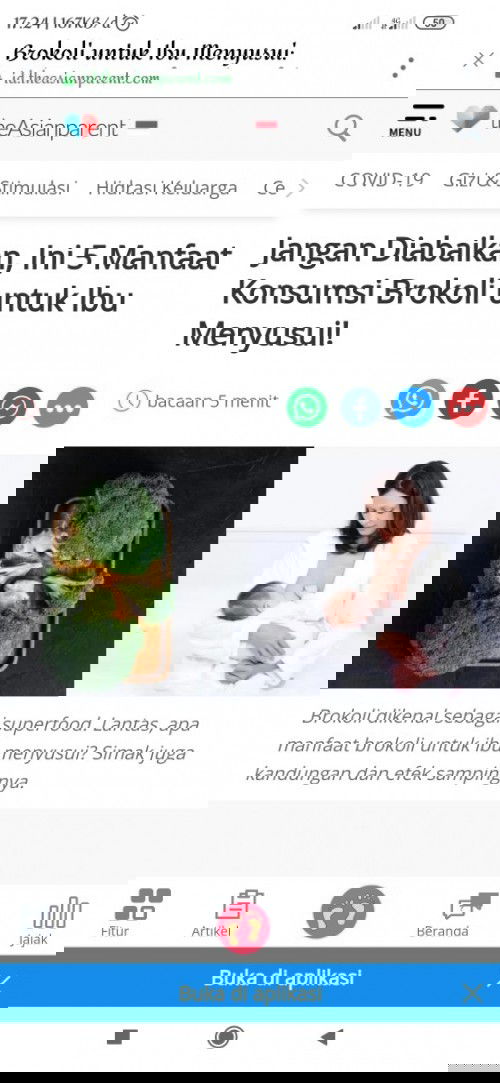 Manfaat konsumsi brokoli untuk ibu menyusui