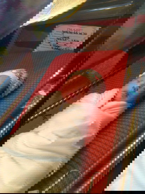 Meet my little prince