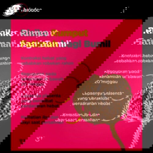 PENJELASAN RUMPUT FATIMAH MENURUT HALODOC