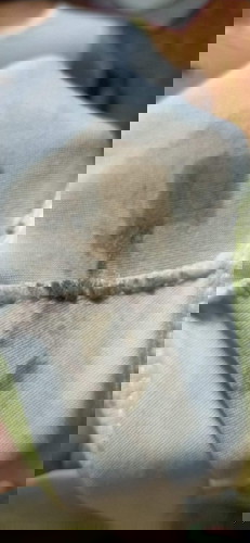 Help me ano ibig sabhin ng ganito