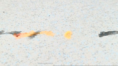 MUCUS PLUG NA PO BA ITO?