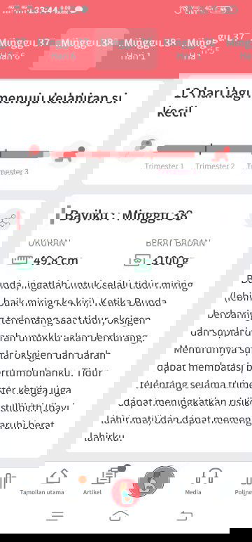 Menunggu gelombang cinta